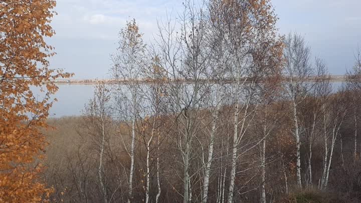Озеро Малобелое д.Пичевка д.Малобелое
