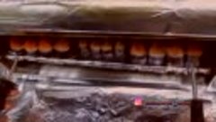 Рекламный ролик суши лове Домодедово
