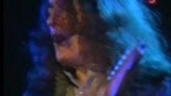 Rory Gallagher. Live At Hammersmith Odeon 1977
