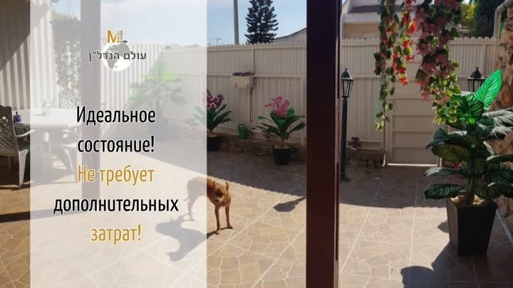 Коттедж на продажу в Кармиэль | ☎ 052-70-400-51,  Алла