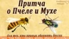 Притча о пчеле и мухе для тех, кто привык обвинять других.