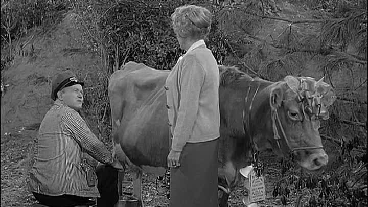 Petticoat Junction - 1x14 - Cannonball Christmas