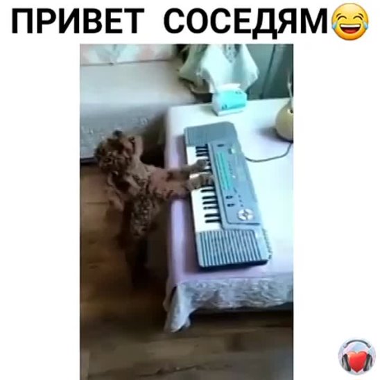 Соседская песня. Утро сосед. Привет сосед музыка. Доброе утро соседка музыкальное. Доброе утро соседи музыка.