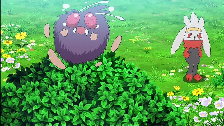ポケットモンスター 42話 動画 2020年10月4日 9tsu net