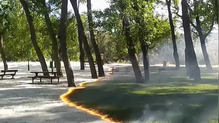 Тополиный пух. Парк, Испания