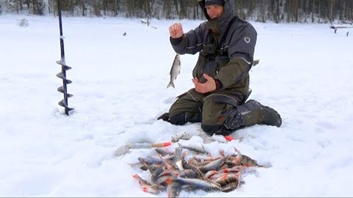 Видео самых уловистых Видео самых уловистых
