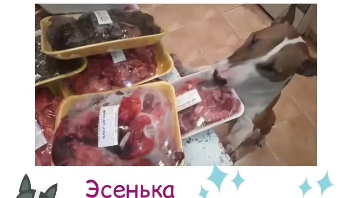 Эсенька