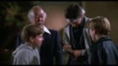 Мальчик - каратист, часть 2 / The Karate Kid, Part 2 (США 19...