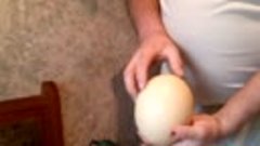 Сверлим яйцо