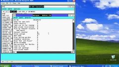 Windows 2.03 На Microsoft Virtual PC 2004