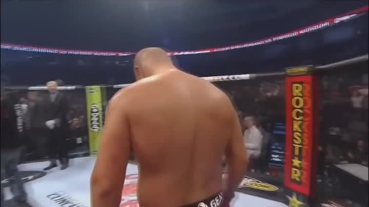 Фабрисио Вердум ( Fabricio Werdum )