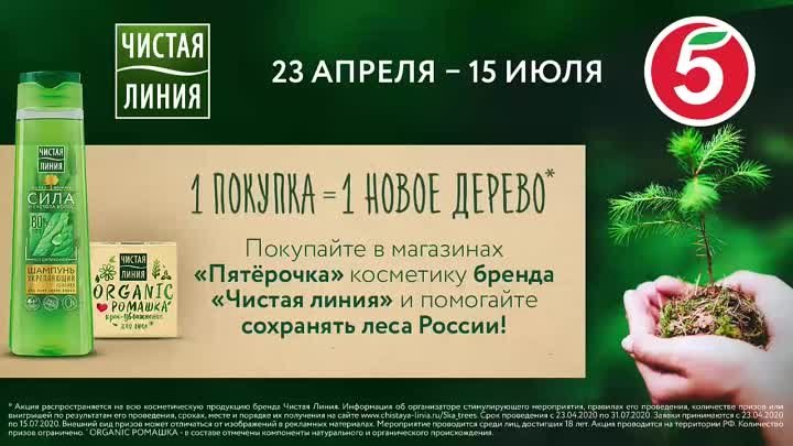 Сохраним живые леса России вместе!
