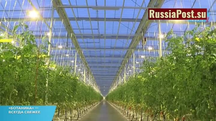 Агропромышленный бум в России впечатляет! За месяц построено 40 новых предприятий!