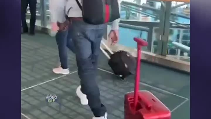 Чудо-чемодан