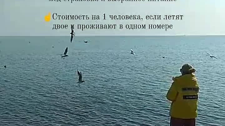 VID_26470620_121306_489.mp4