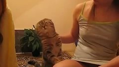Кот просит ласки