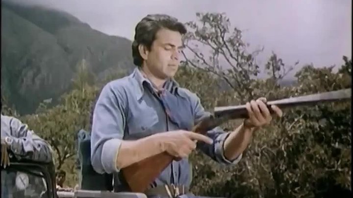 Король джунглей фото Король джунглей фото