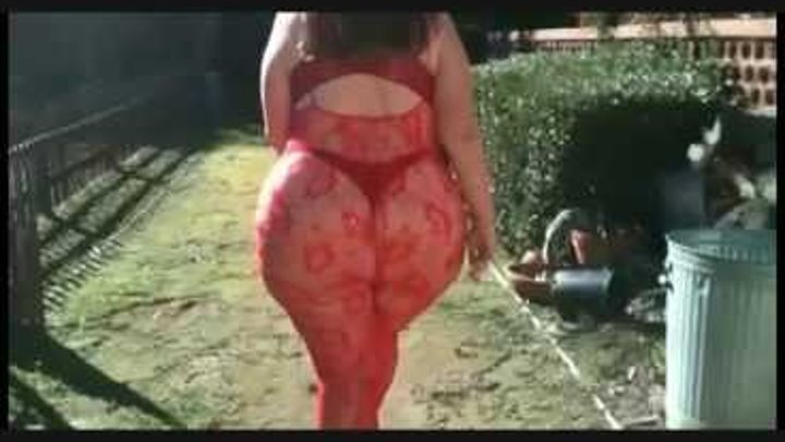 Www bbw ass