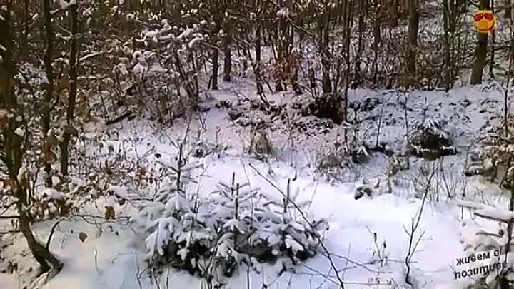Падал снег. Красивая музыка зимы. Falling snow Very beautiful music! ...