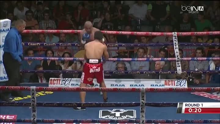 2014-09-20 Orlando Salido vs Terdsak Kokietgym