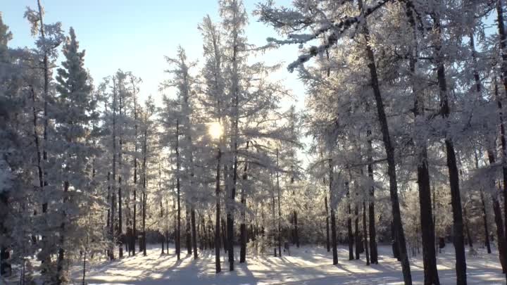 Северная романтика . . .