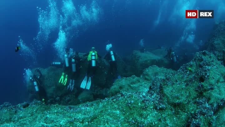 Галапагос. Царство гигантских акул  Galapagos Realm of Giant Sharks  ...