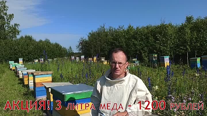 Мёд сибирский, урожая 2020, от 280р/кг