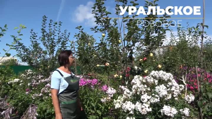 уральское розовое_x264.mp4