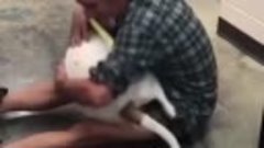 Бездомный воссоединился со своей потерянной собакой в приюте