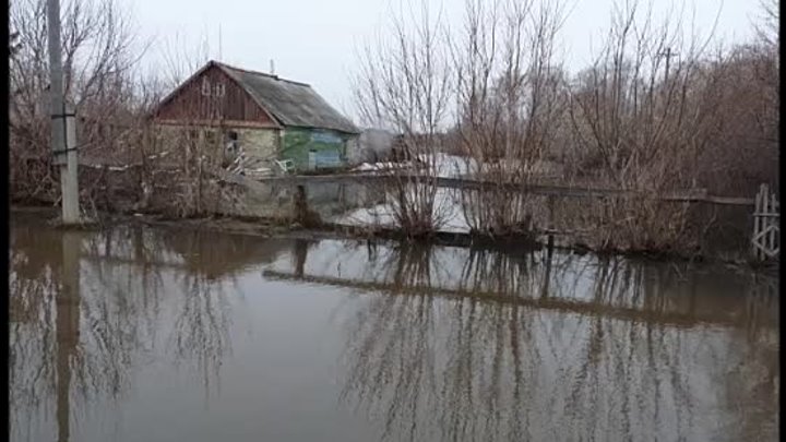 Деревня Водяное в Исилькульском районе .Дома уходят под воду... ( 11.04.2016 г.)