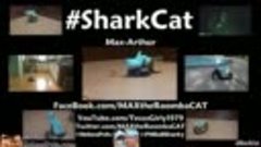 #SharkCat does #SharkWeek Dance Party in the Kitchen like Ha...