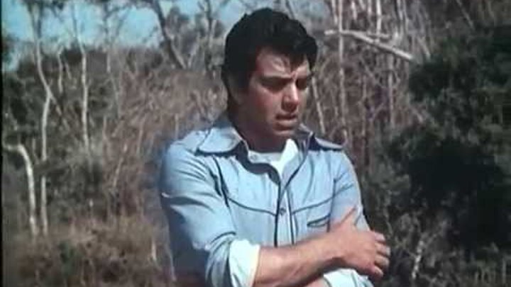 Король джунглей фото Король джунглей фото