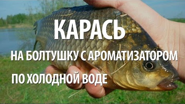 Карась по холодной воде. Ловля карася на болтушку. Болтушка для рыбалки. Ловля на болтушку. Фото карась на болтушку.