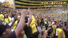 SUR OSCURA ECUADOR: !Ohh AMARILLO VAMOS!