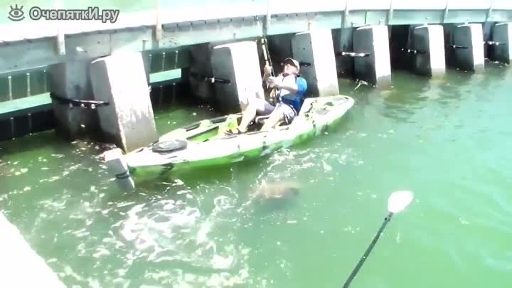 Рыбак против окуня весом в 250 кг