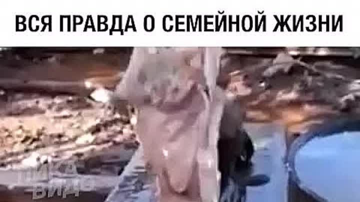 Вся правда о семейной жизни