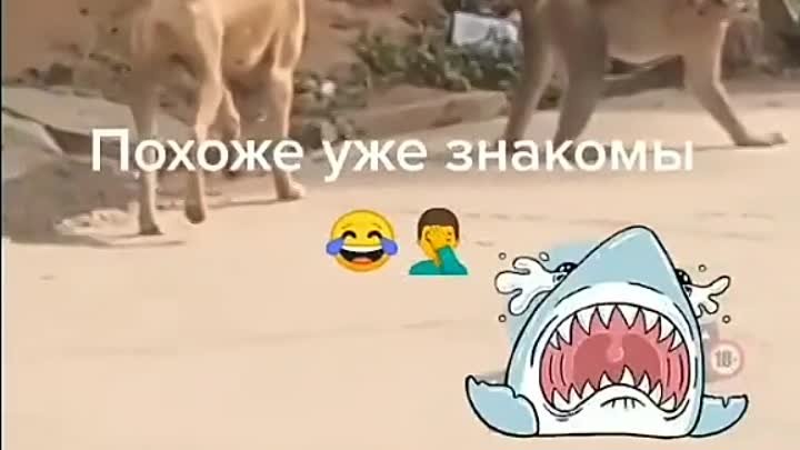 Уже знакомы