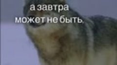 К сожалению , но это так 😔