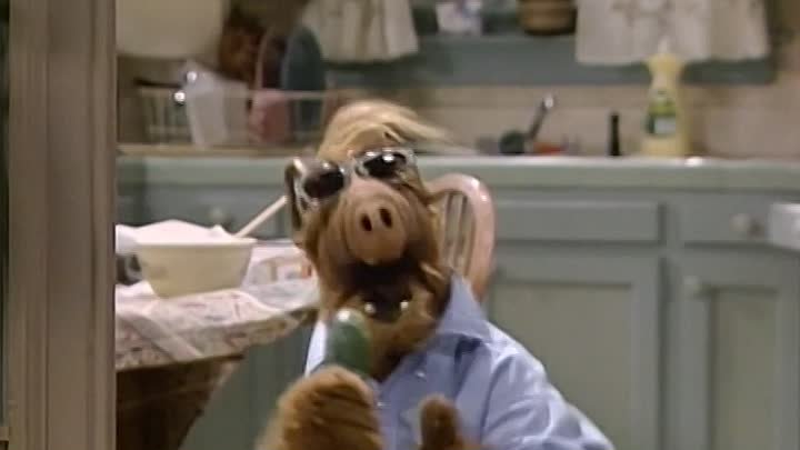 Альф в очках фото Альф в очках фото