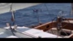 [hdreactor.org]_Дрейф  Open Water 2 Adrift.BDRemux ..mkv