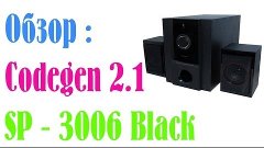 Обзор : Codegen 2.1 SP - 3006 Black