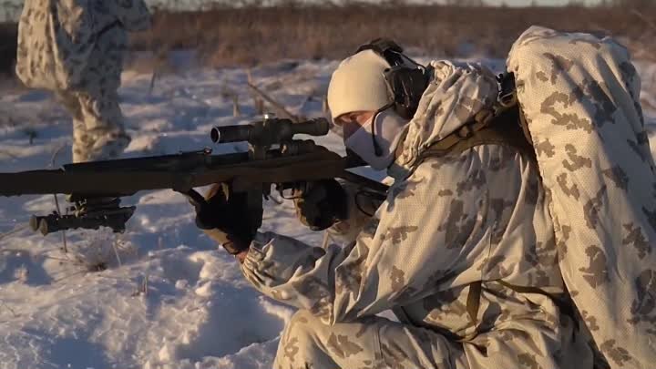Полевые сборы снайперов ВДВ в Ярославской области